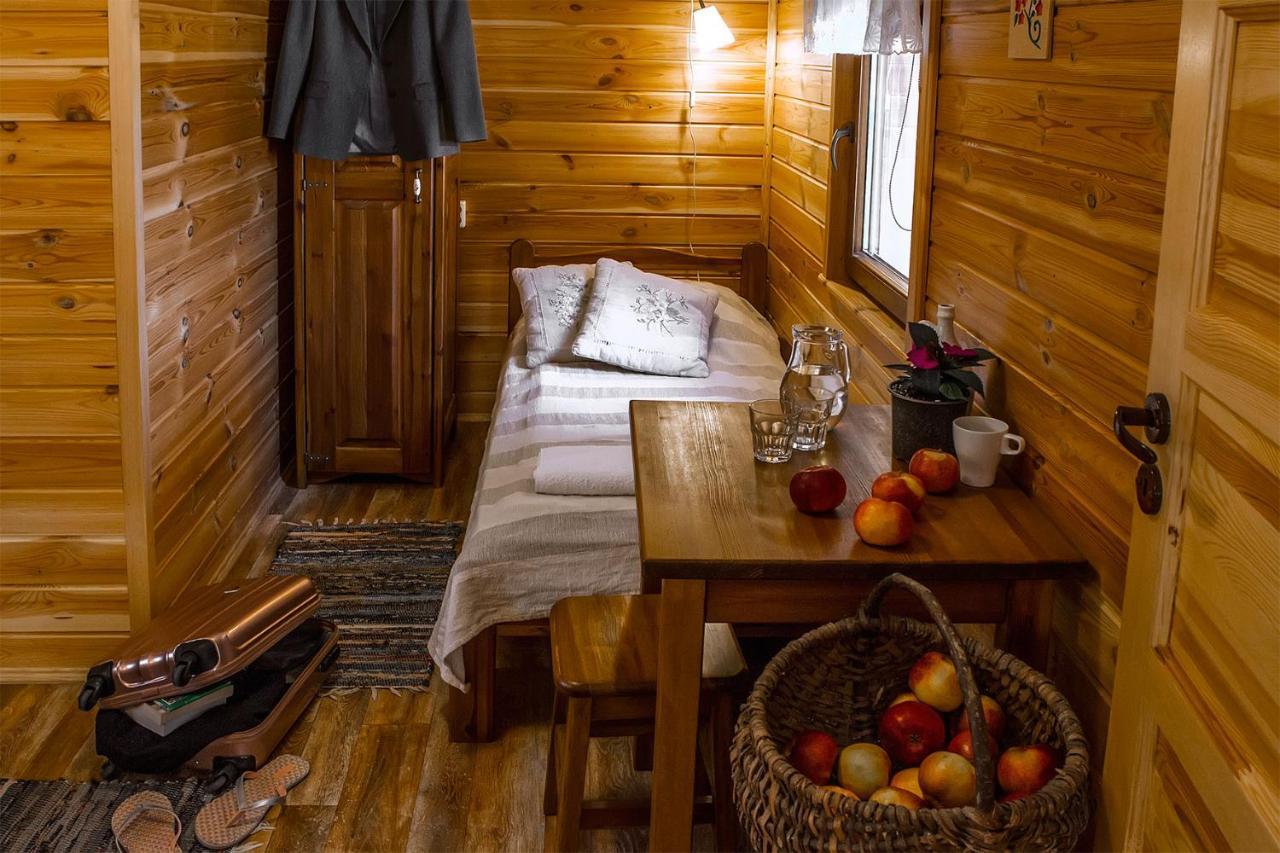 Maciejowka Borki 33 Villa Luaran gambar
