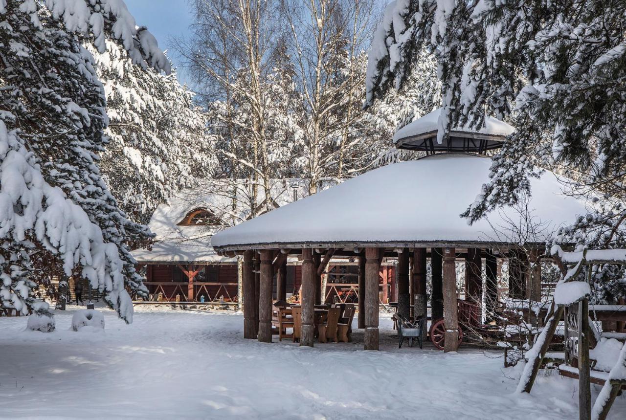 Maciejowka Borki 33 Villa Luaran gambar