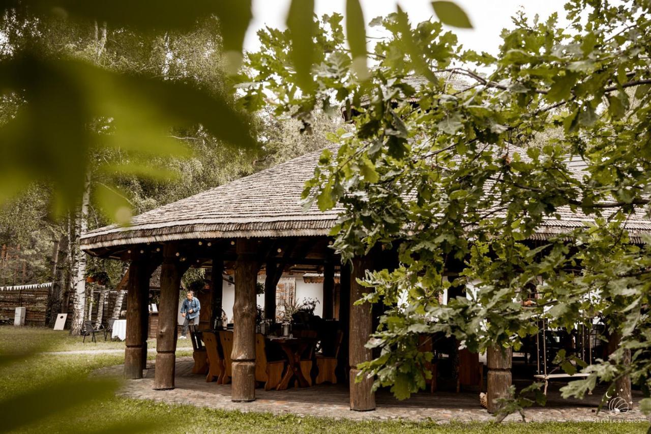 Maciejowka Borki 33 Villa Luaran gambar